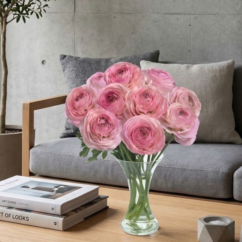 Ranunculus asiaticus Romance Seine® - Persian buttercup (Plant habit)