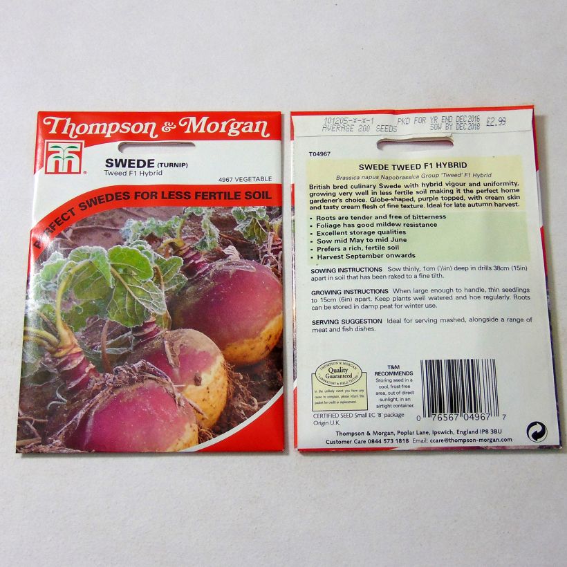 Example of Swede Tweed F1 - Rutabaga per pack of 200 seeds specimen as delivered