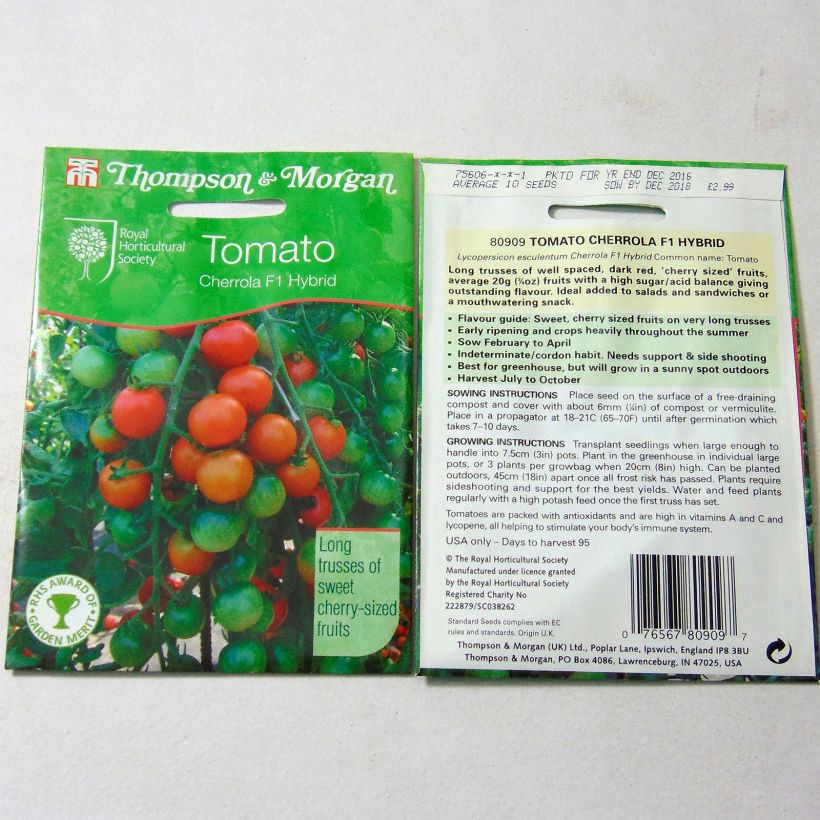 Example of Tomato Cherrola F1 per pack of 10 seeds specimen as delivered