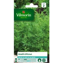 Dill - Vilmorin seeds
