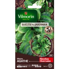 Lambs Lettuce Agathe - Vilmorin Seeds