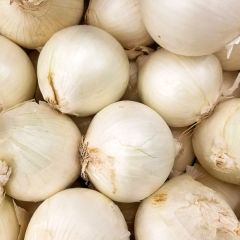 White Onion Tonda Musona