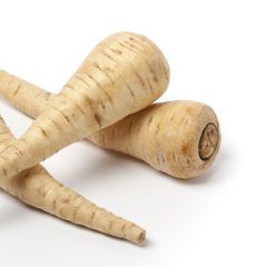 Parsnip Halblange Weisse - Ferme de Sainte Marthe Seeds