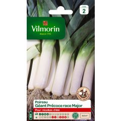 Leek Early Giant Major - Vilmorin Seeds