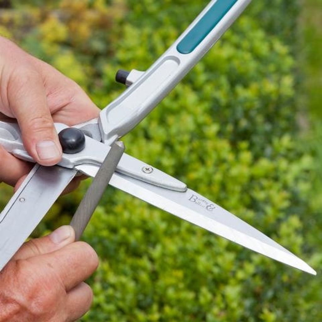 Burgon & Ball Steel Blade Sharpener
