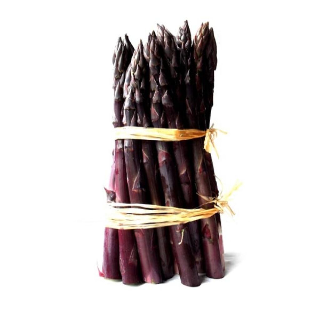 Rosalie Asparagus crowns - Asparagus officinalis