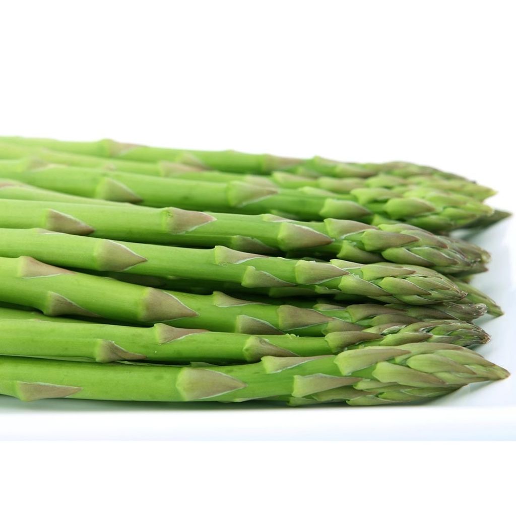 Voltaire Asparagus crowns - Asparagus officinalis