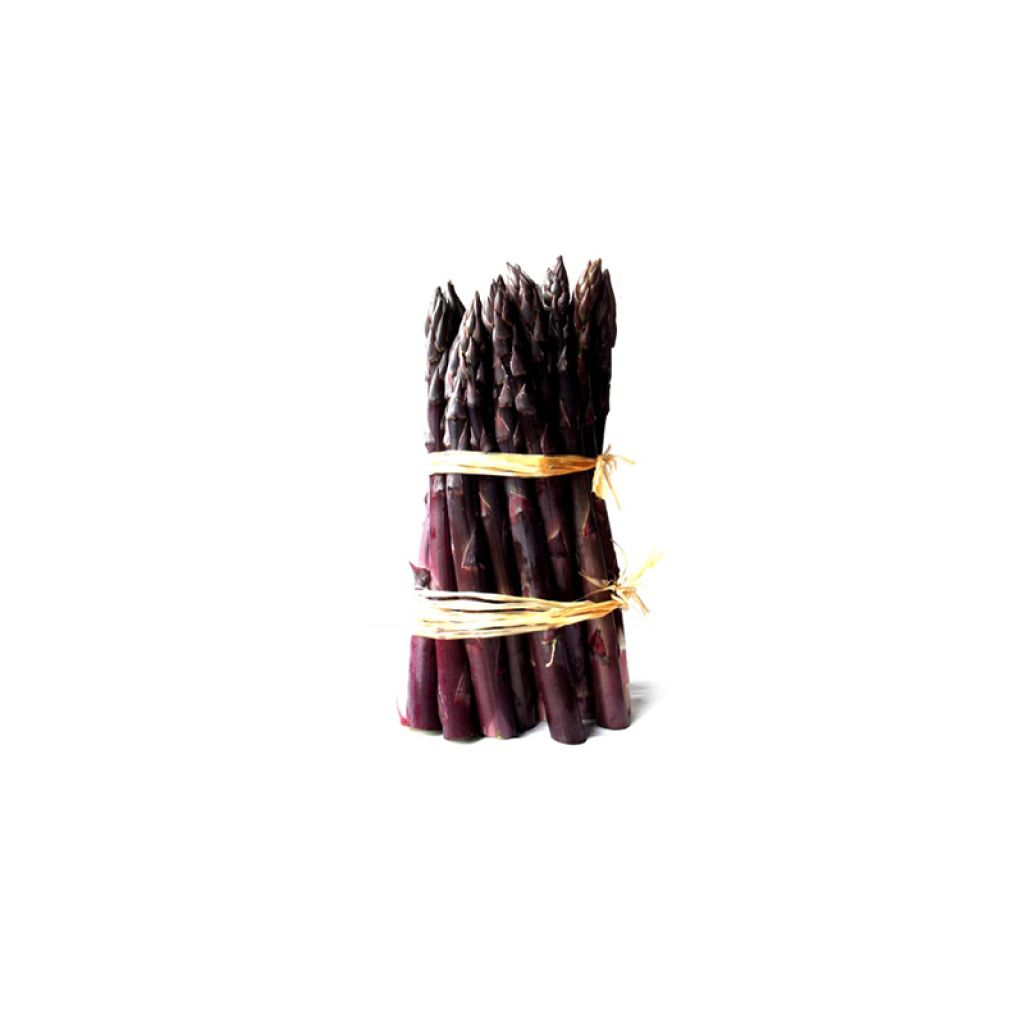 Jacq Ma Asparagus crowns - Asparagus officinalis