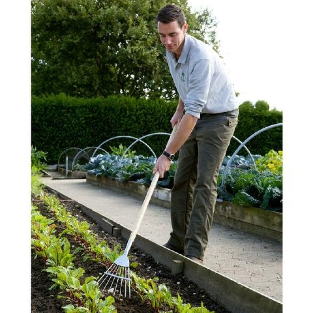 Round-tined 8-tooth Burgon & Ball Broom - RHS range