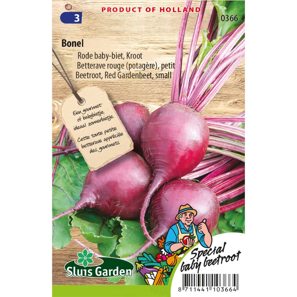 Bonel Red Beetroot - Beta vulgaris