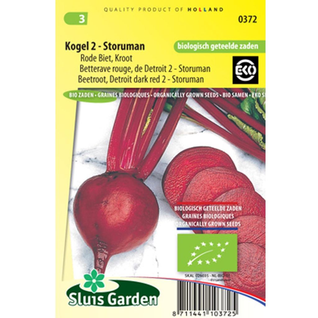 Beetroot Detroit Globe 2 Storuman