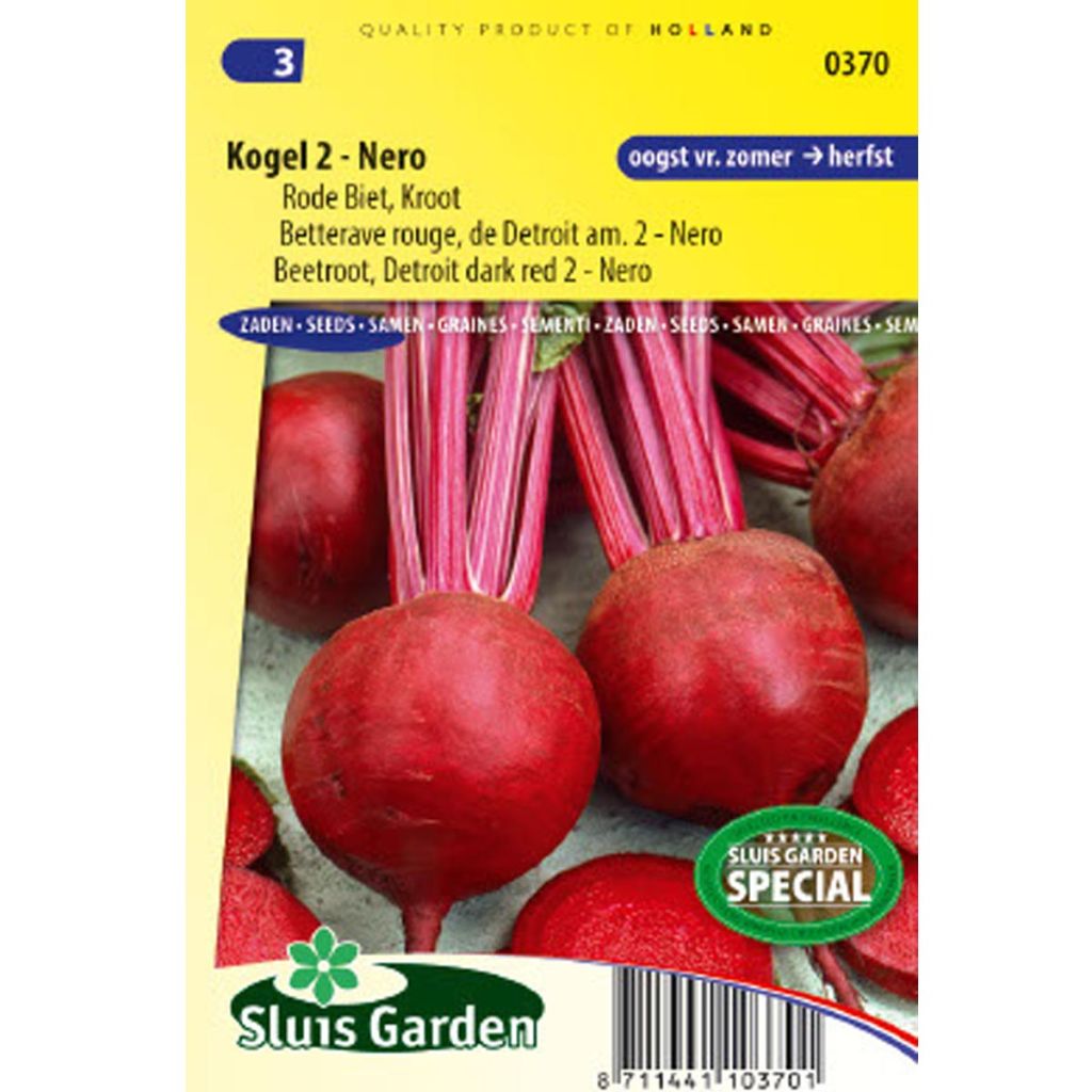 Beetroot Detroit Globe 2 Nero