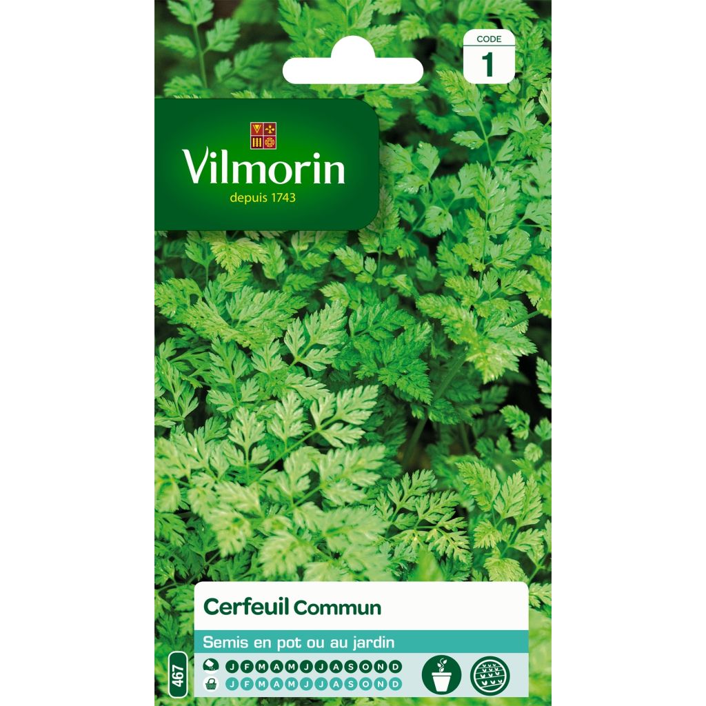 Chervil - Vilmorin Seeds