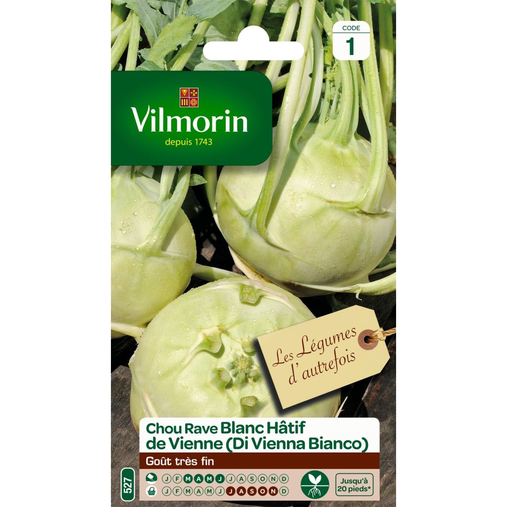 Kohlrabi Early White Vienna - Vilmorin Seeds