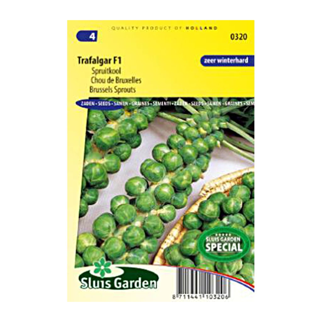 Brussels sprouts Trafalgar F1