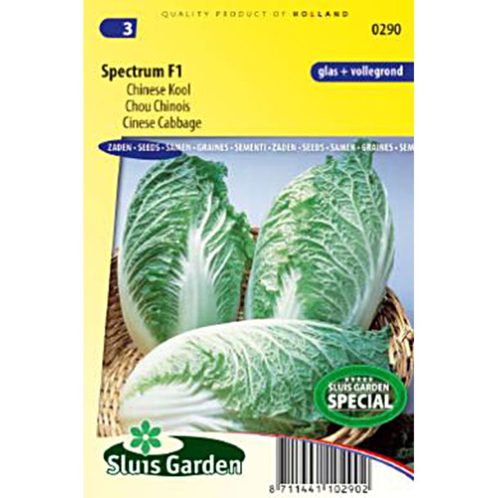Napa Cabbage Spectrum F1 - Pe-Tsai