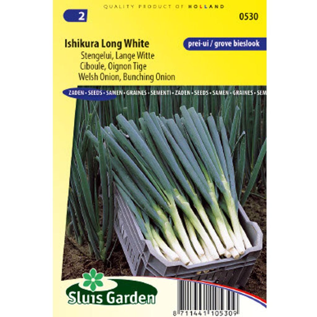 Scallion Ishikura Long White