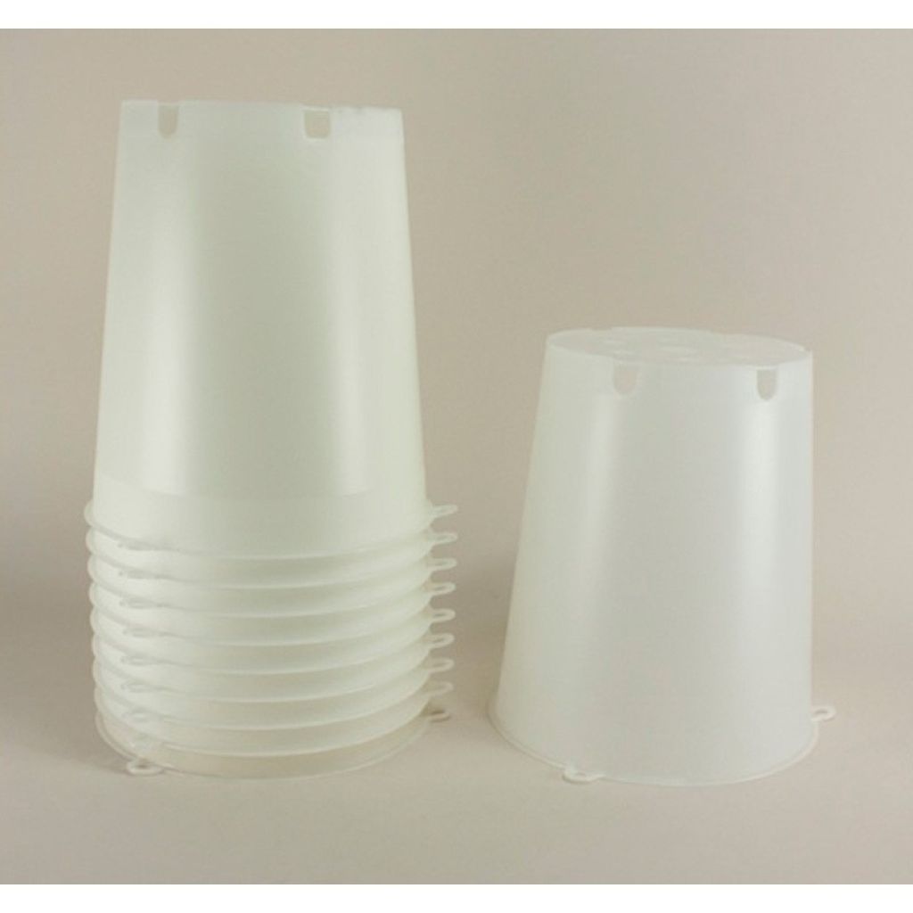 Clear tomato bell Ø 22.4cm (9in) x 25.3cm (10in) - sold in packs of 3.