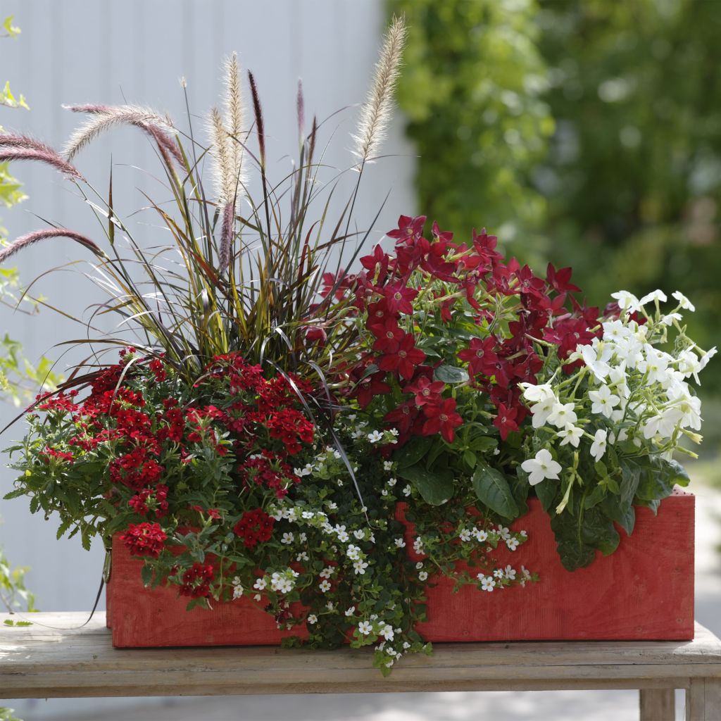    Red container collection