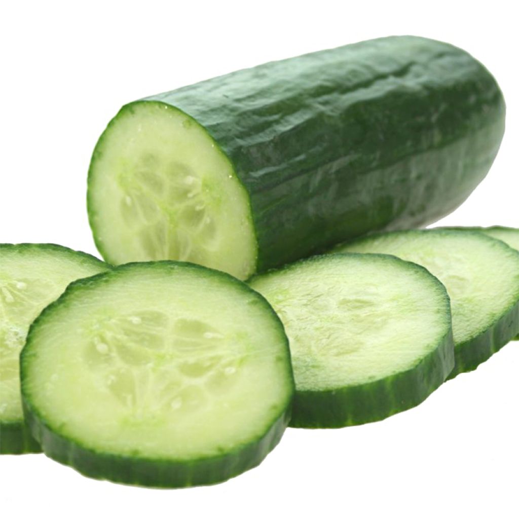 Cucumber Raider F1