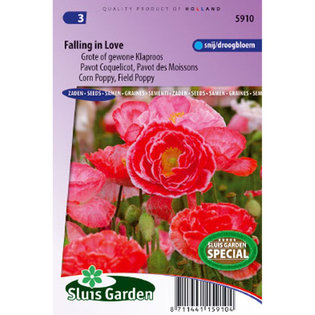 Poppy Falling in Love mix Seeds - Papaver rhoeas