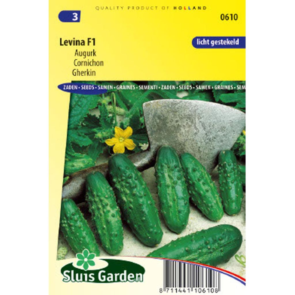 Cucumber Levina F1 - Cucumis sativus