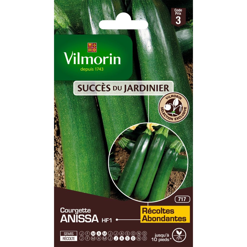 Courgette Anissa F1 - Vilmorin Seeds