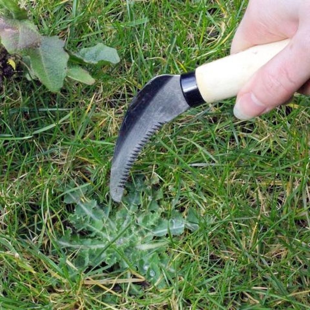 RHS Burgon & Ball Weed Knife - RHS Range