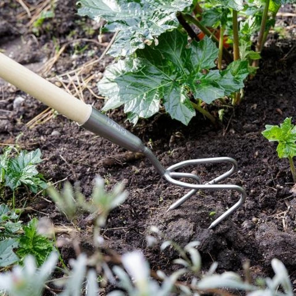 Long-handled 3-pronged cultivator by Burgon & Ball - RHS Range