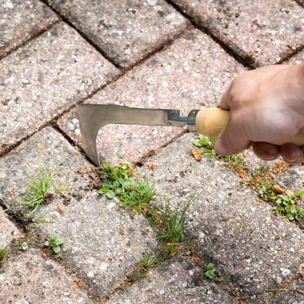 Burgon & Ball Hand Weeding Knife - RHS Range