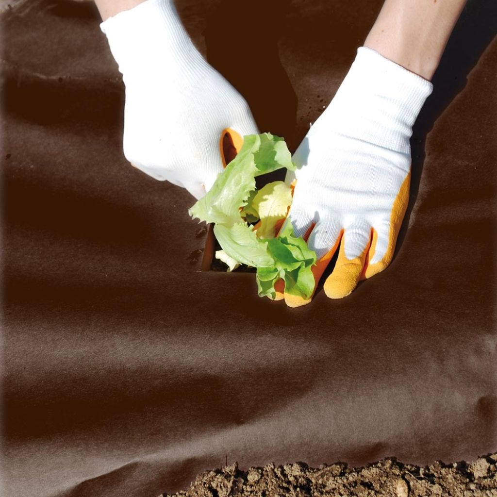 Treated UV-resistant planting material 45g/m² 1 m (3ft) x 10 m (33ft)