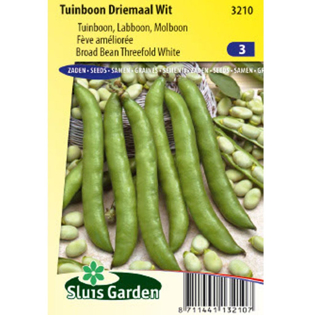 Broad Bean Threefold White