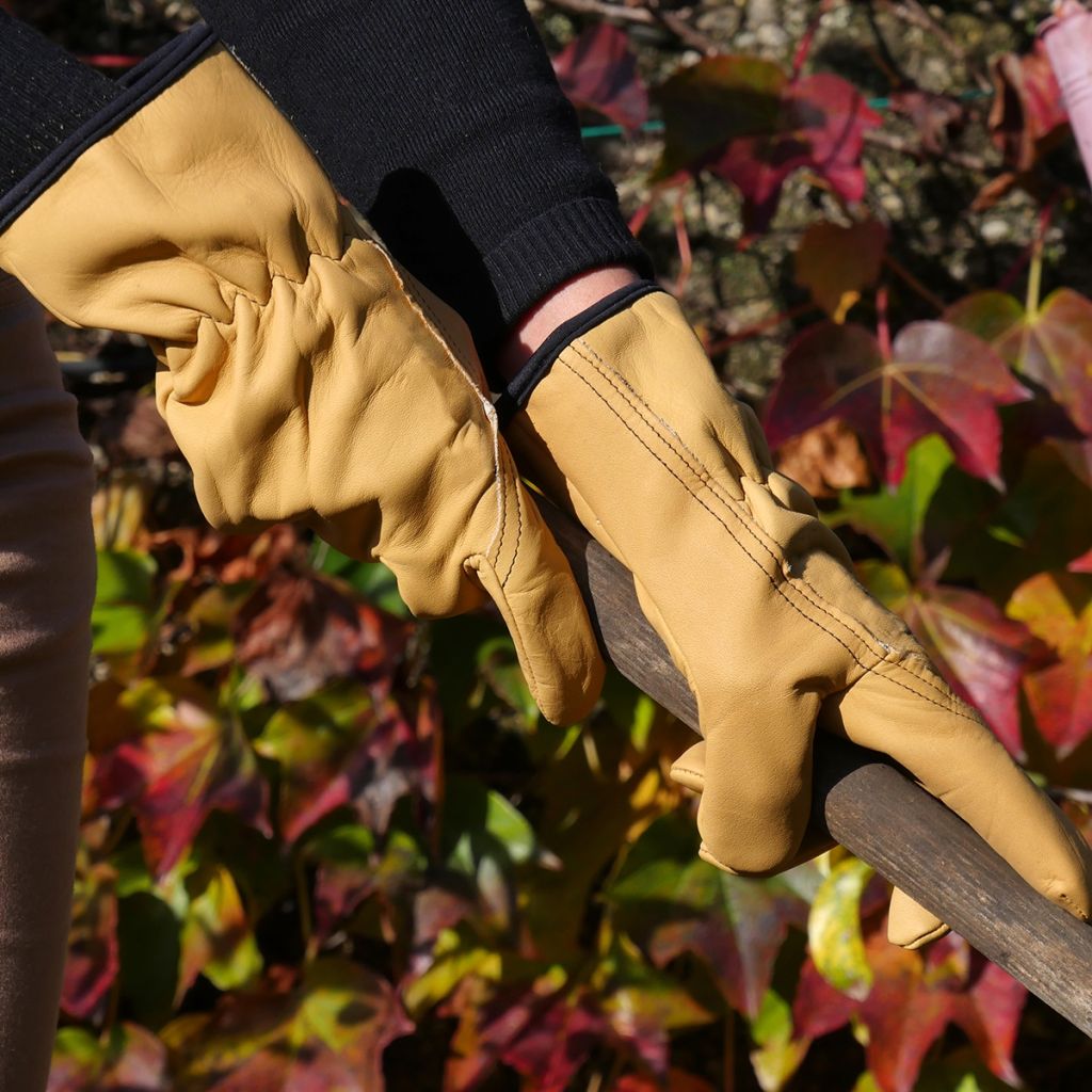 Rostaing Tradition Durable Garden Gloves in Water-repellent Leather - Beige