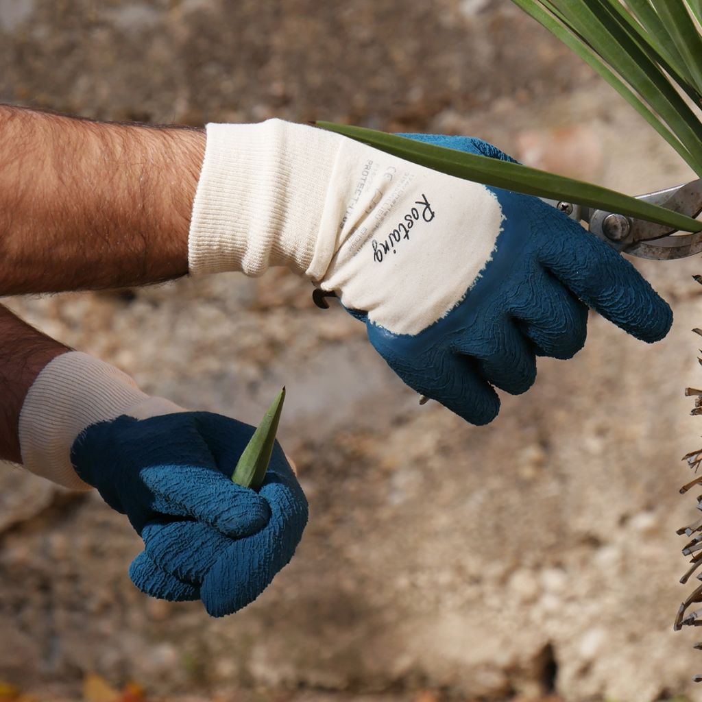 Rostaing pruning gloves for roses and small thorns Protect-I blue