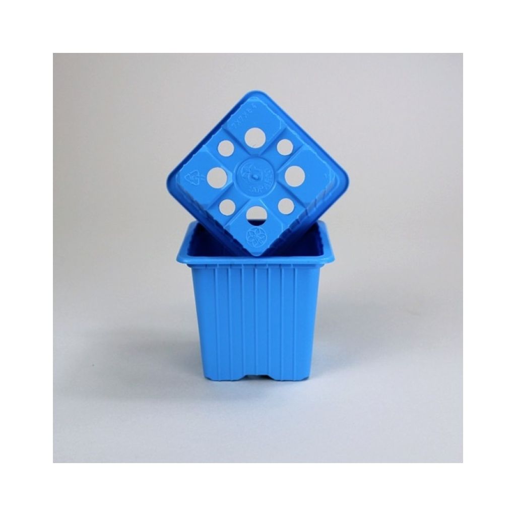 Light Blue Propagation Pot by Soparco - sold in packs of 30