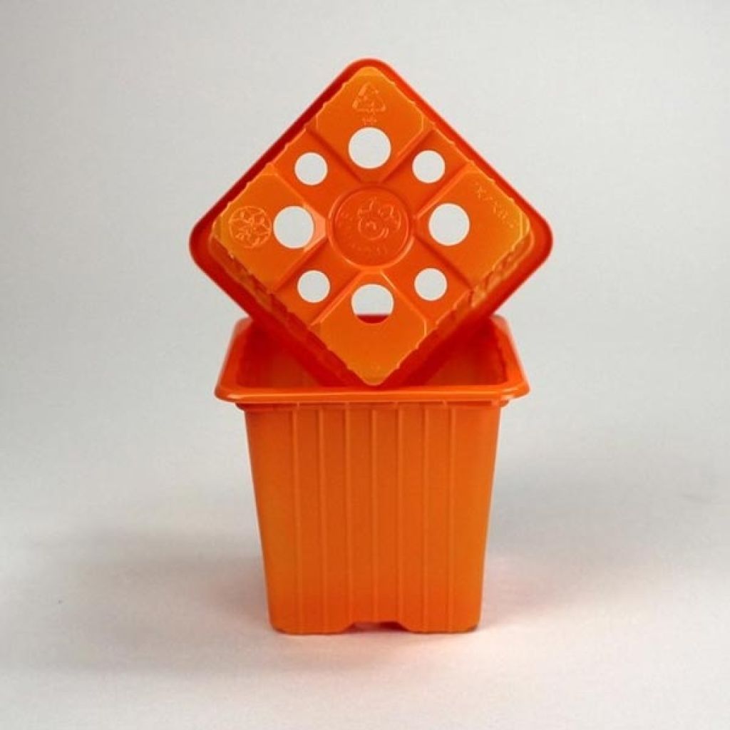 Orange propagation pots - sold in sets of 30