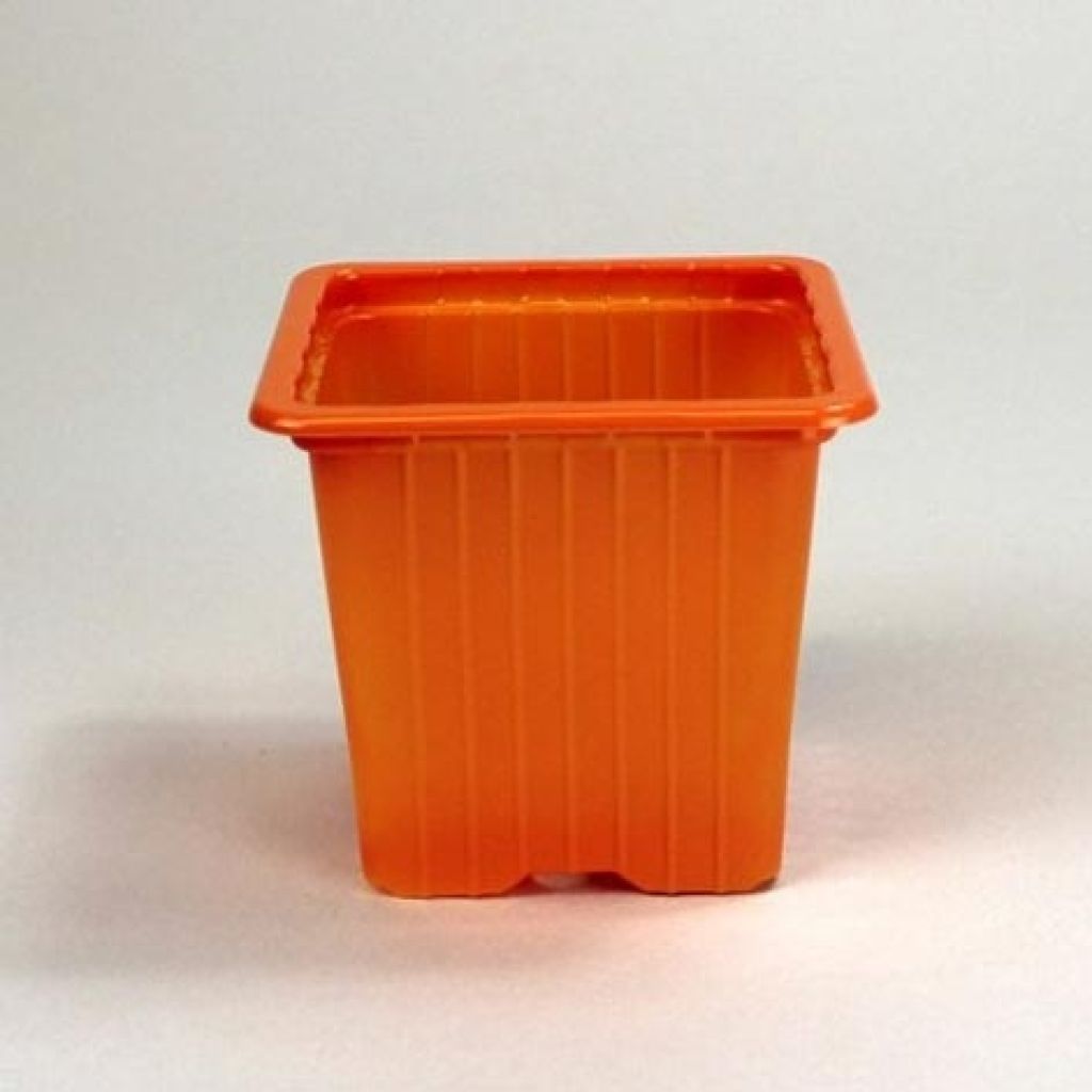 Orange propagation pots - sold in sets of 30