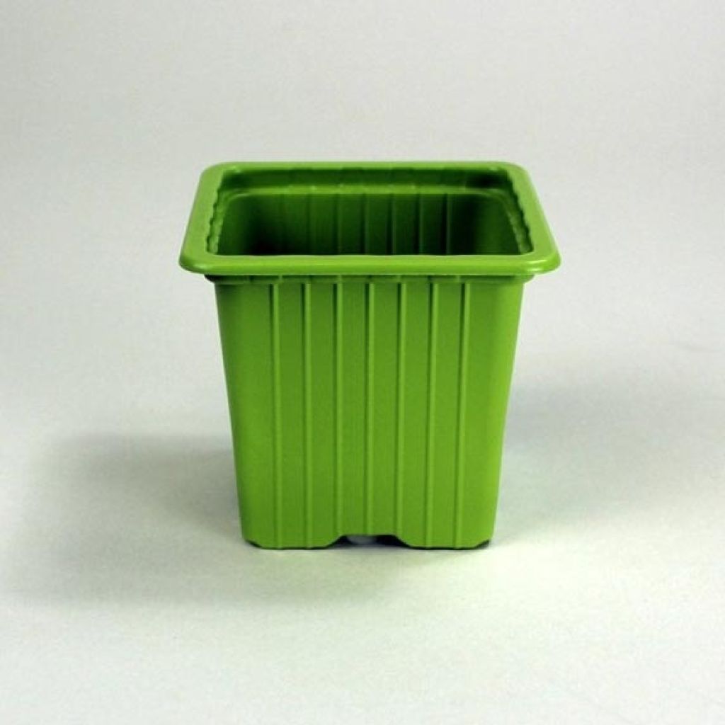 Green Bamboo Pots for Propagation - Pack of 30