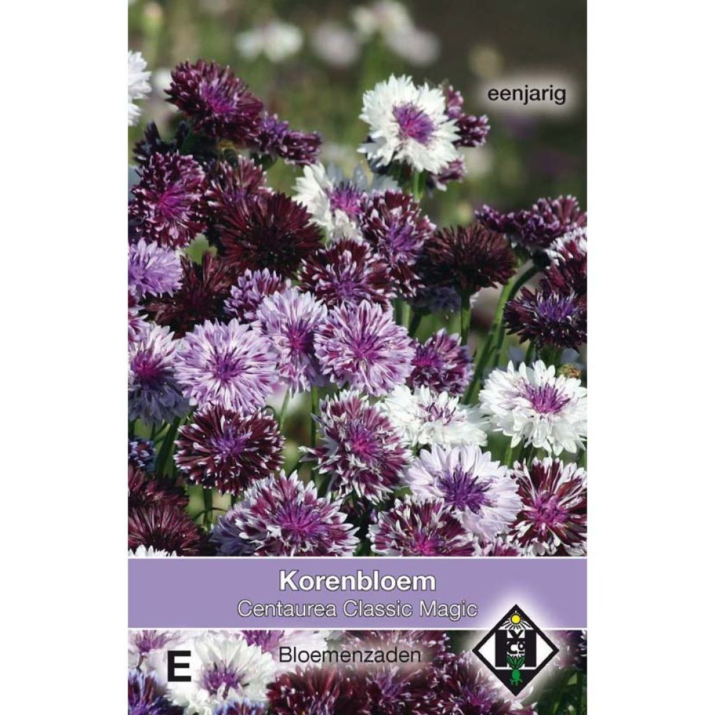 Cornflower Classic Magic Seeds - Centaurea cyanus