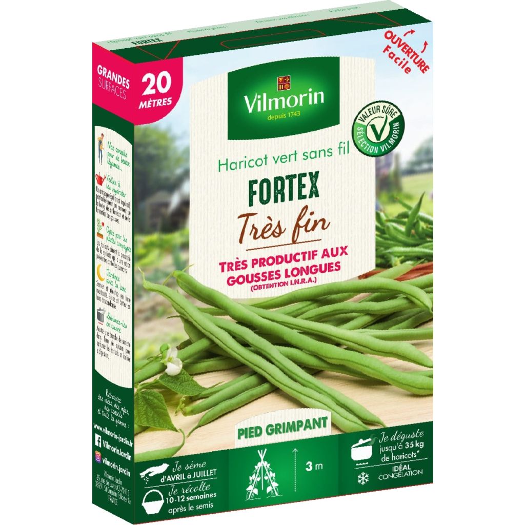 French Filet Pole Bean Fortex - Vilmorin Seeds