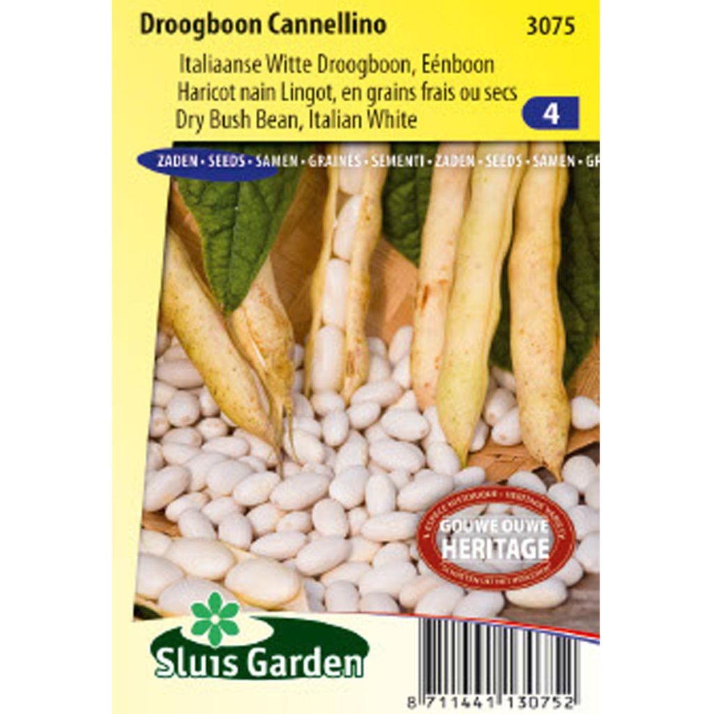 Bush Dry Bean Cannellino
