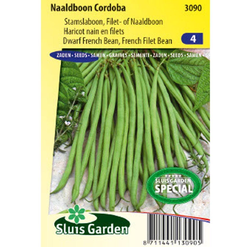 Dwarf Filet Bean Cordoba