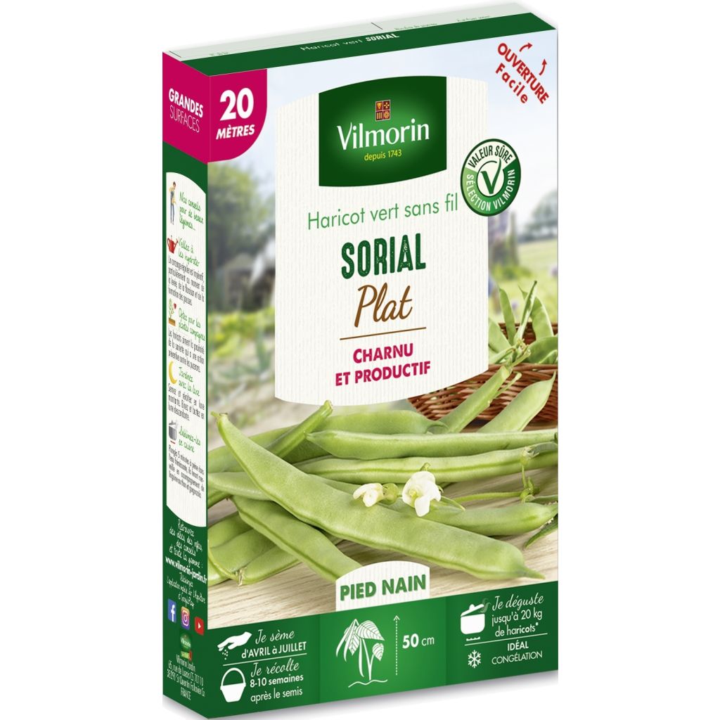 Dwarf Flat Bean Sorial - Vilmorin seeds