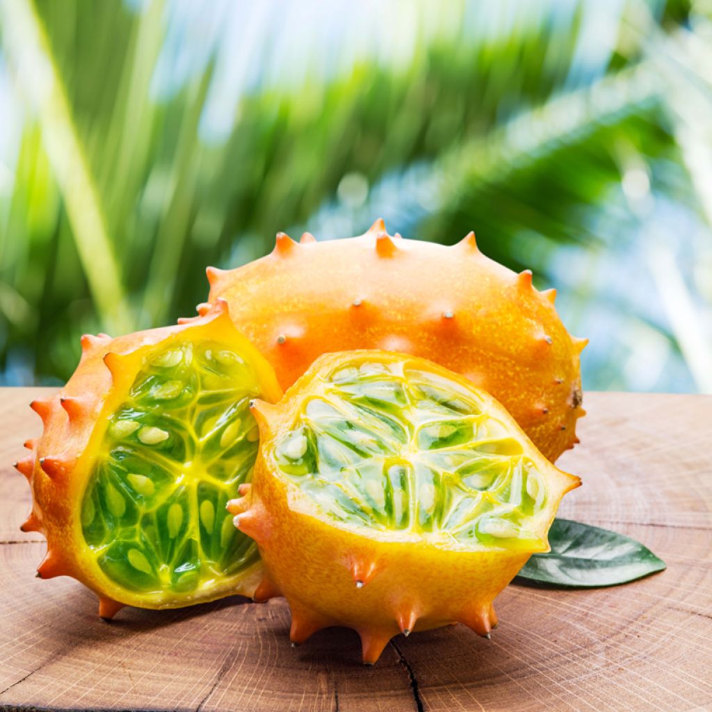 Cucumis metuliferus 