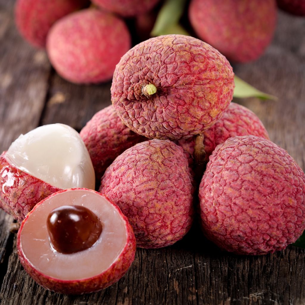Lychee Tree Kwai May Pink - Litchi chinensis