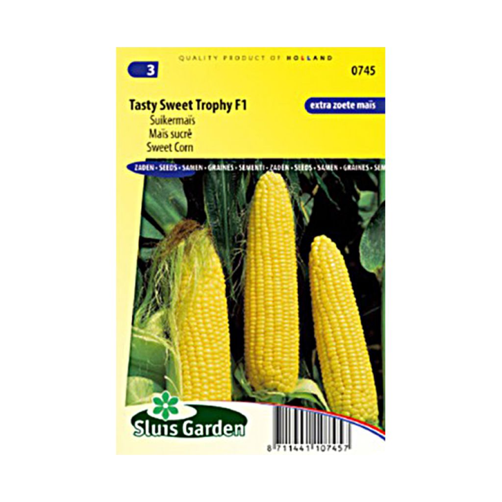 Zea mays Tasty sweet Trophy F1