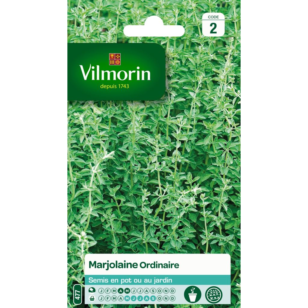 Marjolaine ordinaire - Vilmorin