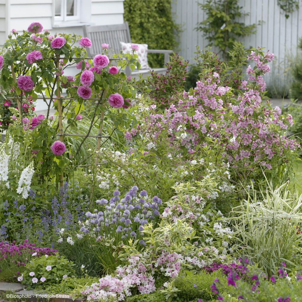Romantic Flowerbed Collection
