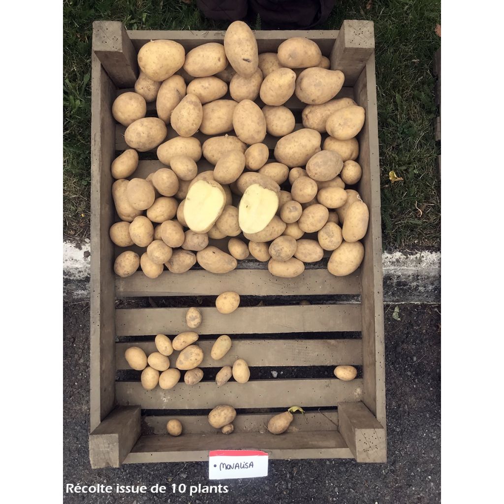 Potatoes Mona Lisa