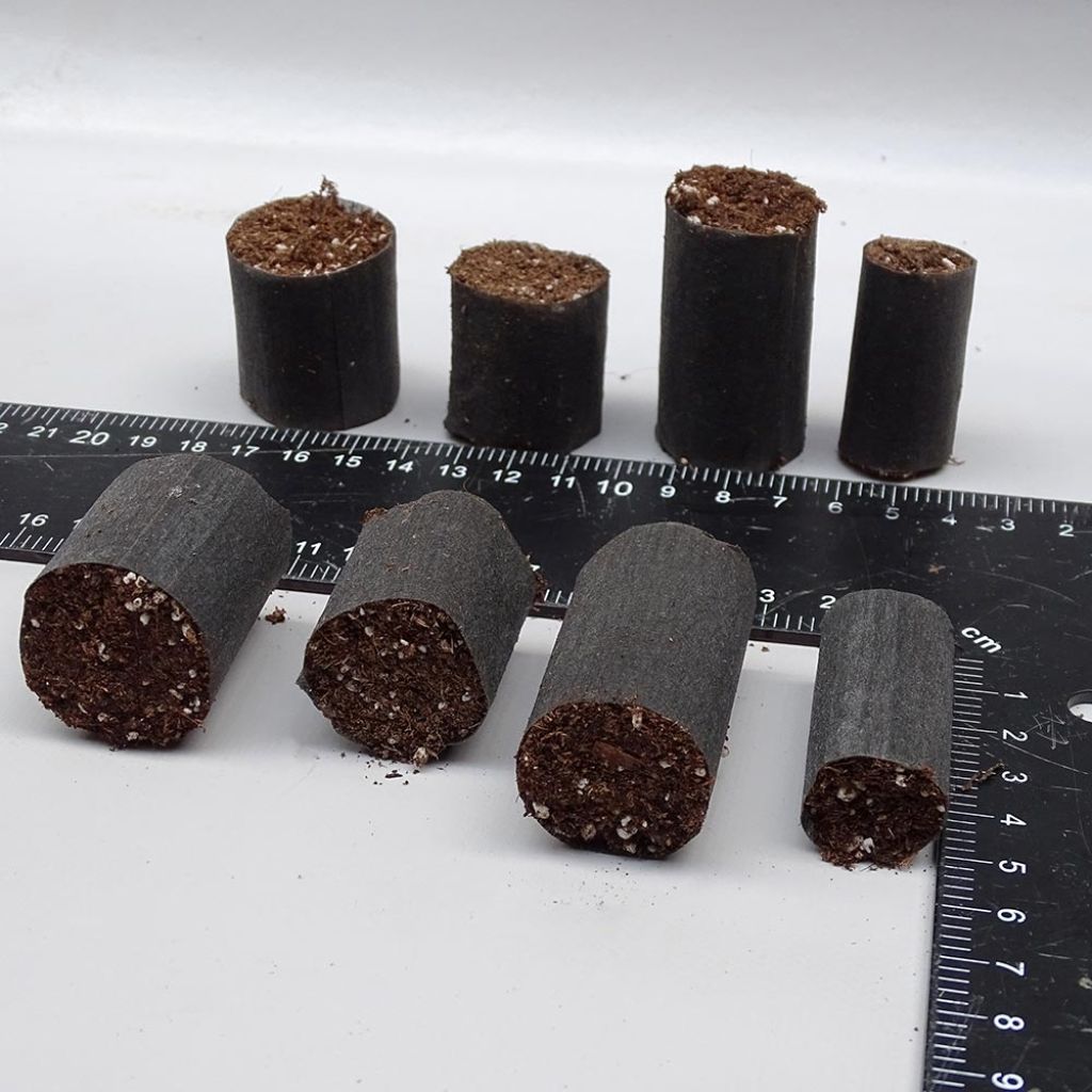 Fertiss Compost Plugs, sold separately.